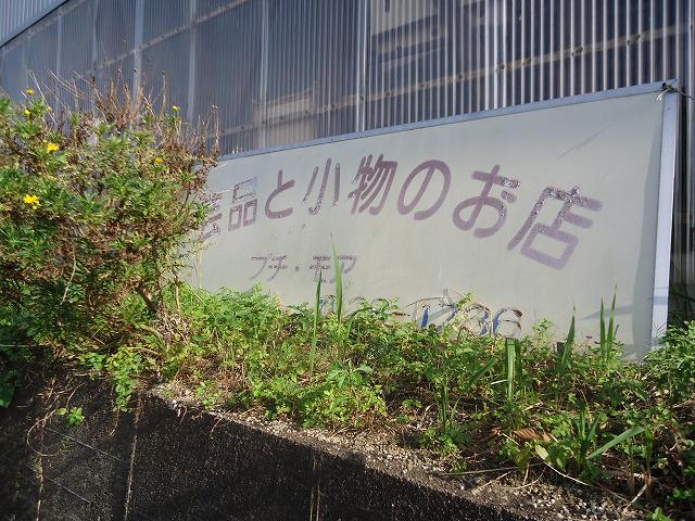 DSC02578.jpg