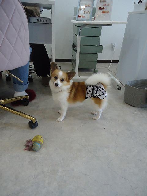 DSC02636.jpg