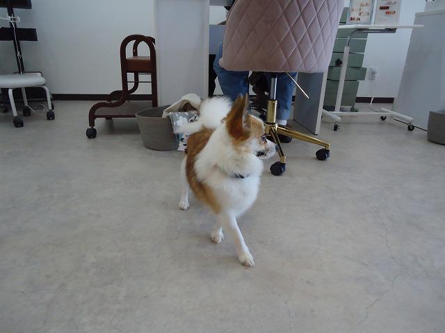 DSC02640.jpg