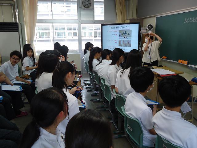 DSC03063.jpg
