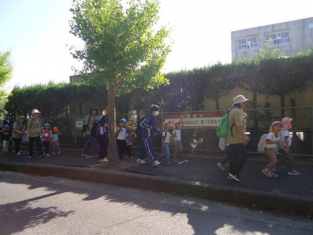 DSC03306.jpg