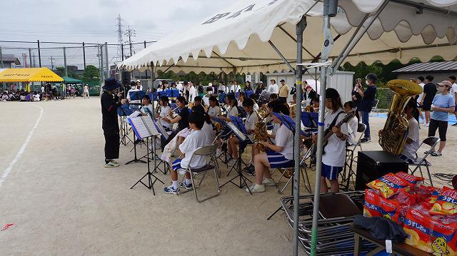 DSC05520.jpg