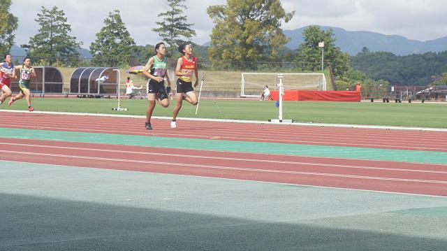 DSC05649.jpg