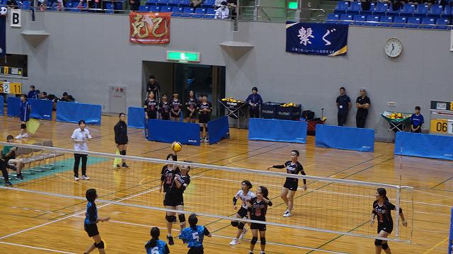 DSC05774.jpg