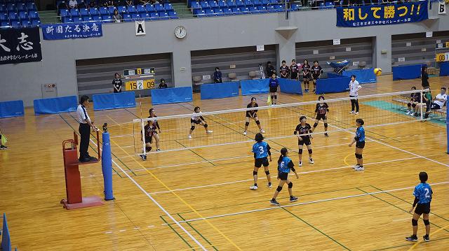DSC05778.jpg