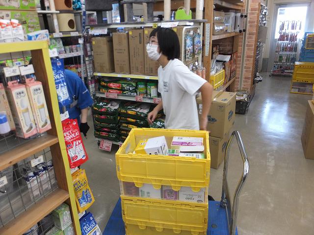 DSCF3306.jpg