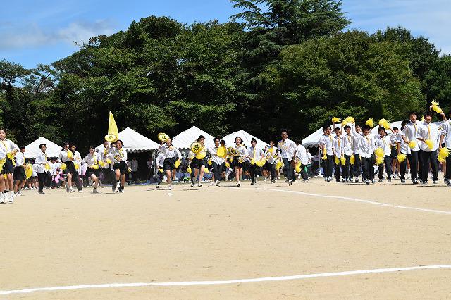 DSC_0611.jpg