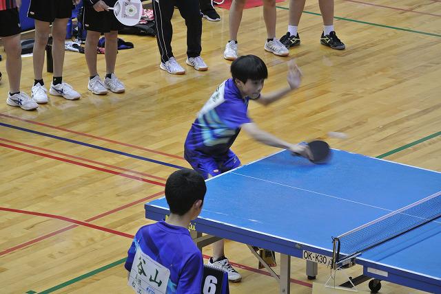 DSC_2236.jpg
