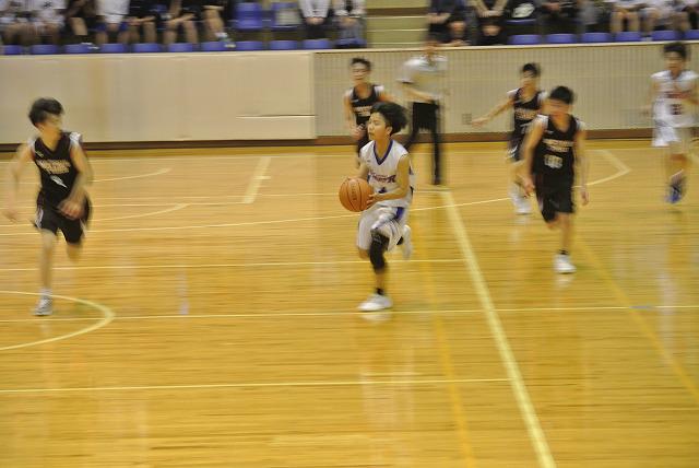 DSC_2333.jpg