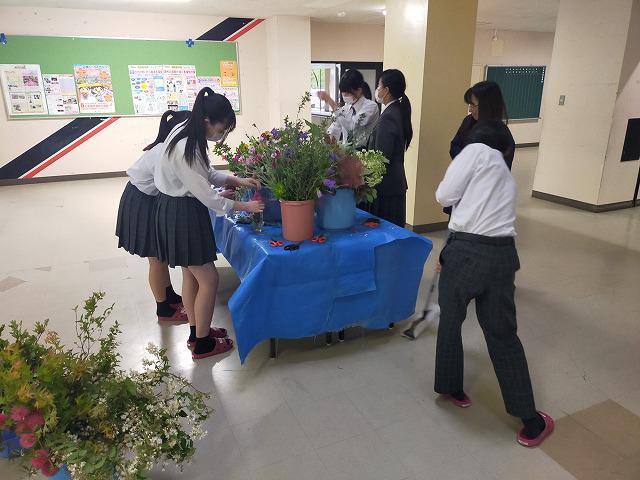 IMG20240528134050_20240528193311.jpg