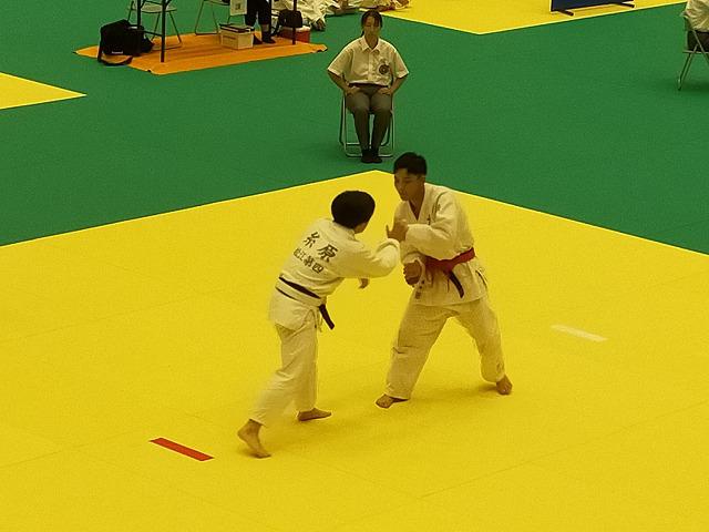 IMG20240720122316_20240723062340.jpg