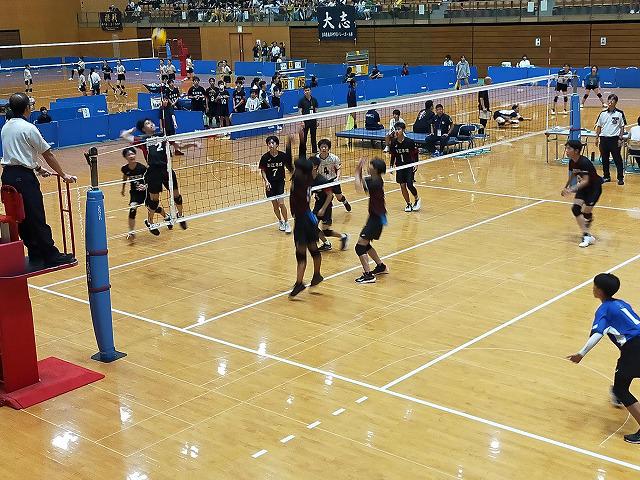 IMG20240724124654_20240725155315.jpg