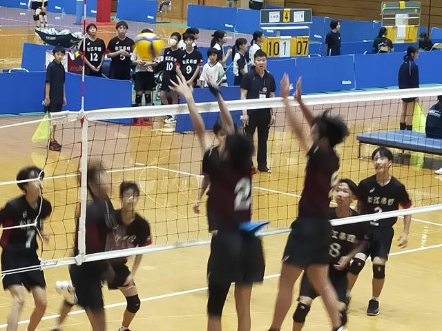 IMG20240724124909_20240725155312.jpg