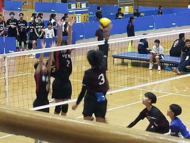 IMG20240724125201_20240725155305.jpg