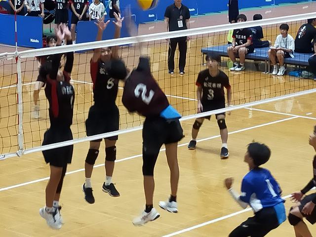 IMG20240724130018_20240725155259.jpg