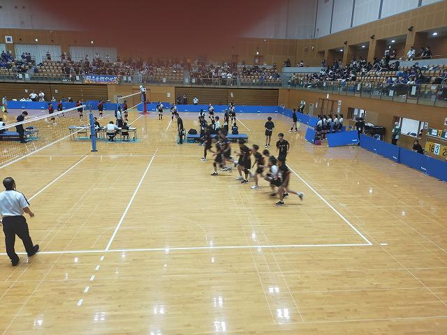IMG20240724133234_20240725155252.jpg