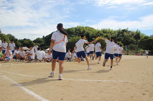 IMG_1135.jpg