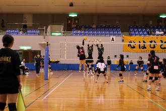IMG_1141.JPG