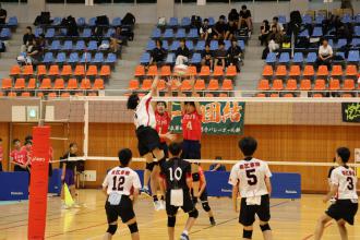 IMG_1665.JPG