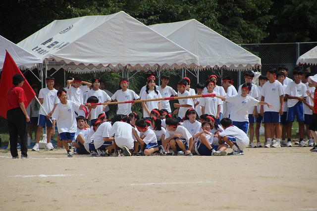 IMG_1983.jpg