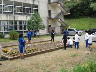 IMG_2453.JPG