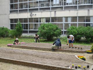 IMG_2454.JPG