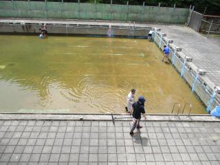 IMG_2462.JPG