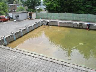 IMG_2463.JPG