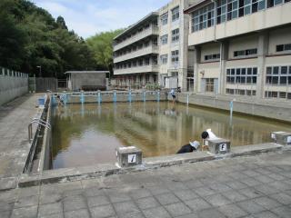 IMG_2464.JPG