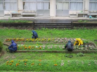 IMG_2658.JPG