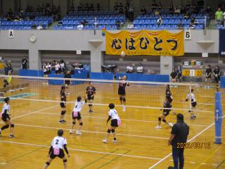 IMG_3018.JPG