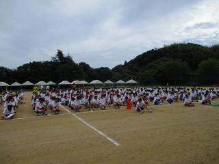 IMG_3219.JPG