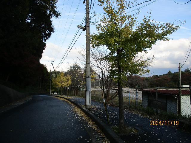 IMG_6723.jpg
