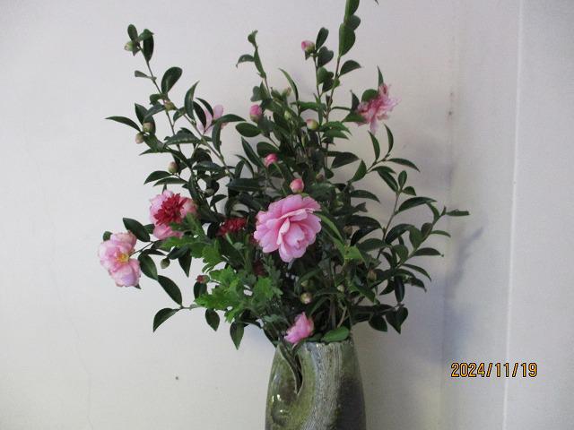 IMG_6729.jpg