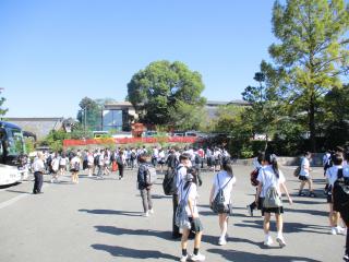 IMG_3480.JPG