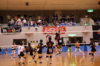 IMG_4705.JPG