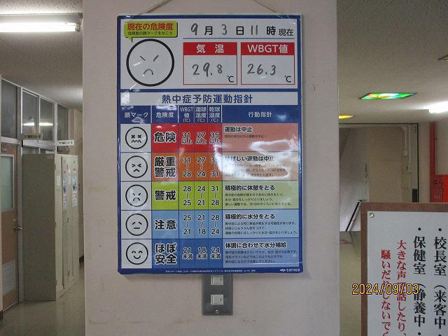 IMG_6477.jpg