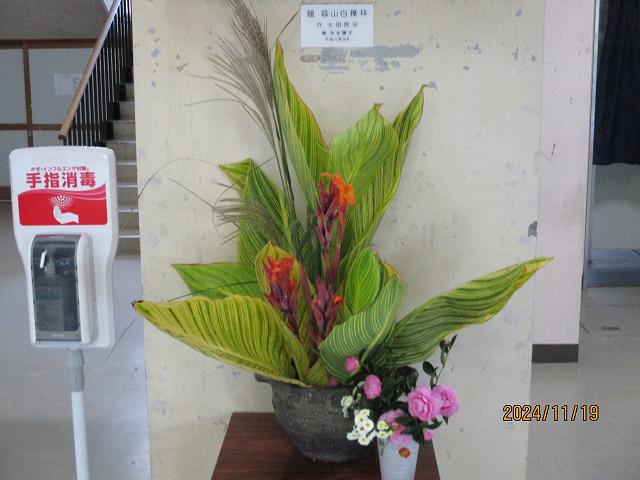 IMG_6715.jpg