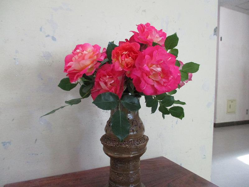 IMG_6788.jpg