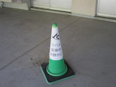 IMG_6791.jpg