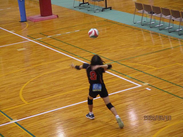 IMG_7037.jpg