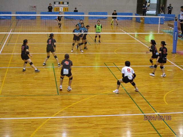 IMG_7042.jpg