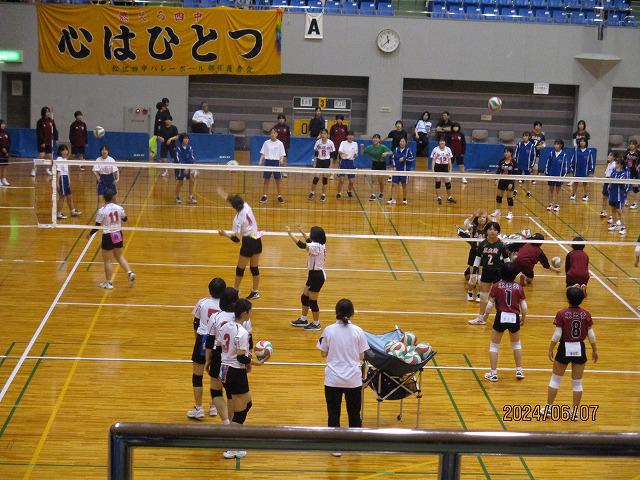 IMG_7113.jpg