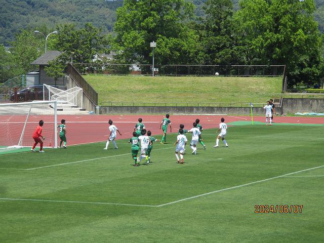 IMG_7119.jpg