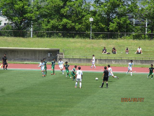 IMG_7132.jpg