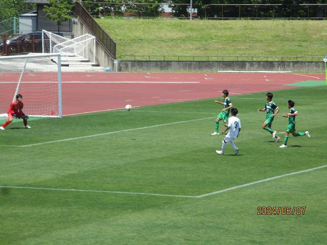 IMG_7133.jpg