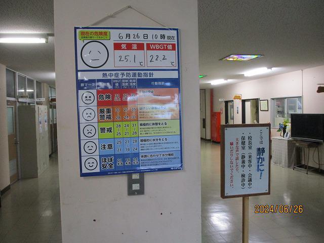IMG_7264.jpg