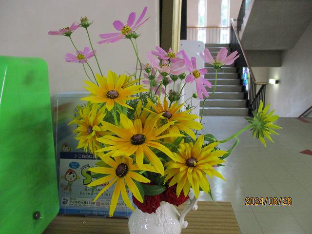 IMG_7265.jpg