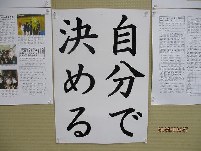 IMG_7286.jpg