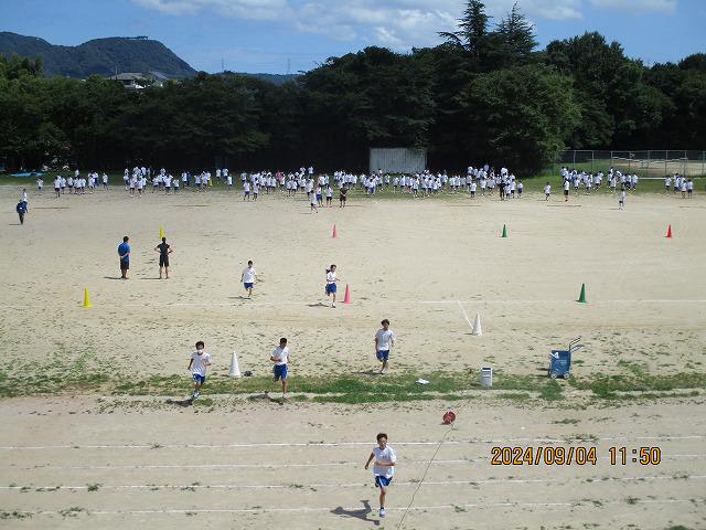 IMG_7706.jpg